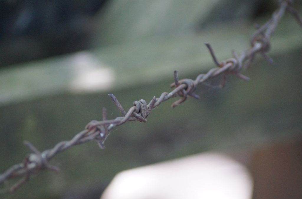 Protected: Hariçten Gazel Okuyanlar