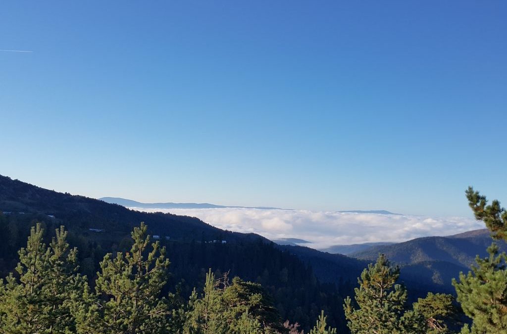 Protected: Bulutların Üstünden Bıraktım Ben Kendimi